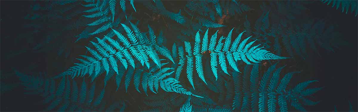 Labaratuvar Test Hizmetleri